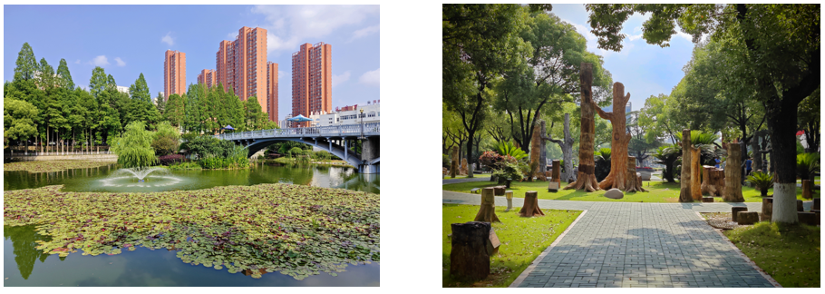 1732071280158088400.png 园林绿化